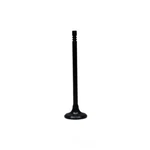 Engine Exhaust Valve-vin: G, Dohc, Code: Erc, Pentastar, 24 Valves Dnj New. Price: $19.04.