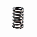 Enginetech Valve Spring Pack Of 1 New. Price: $326.99.