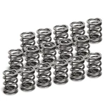 Supertech Dual Valve Spring Set For Acura K20A2 / K24A2 SPR-H1000D-16 New. Price: $247.90.