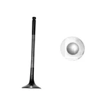 For Nissan Sentra 1995-2006 Dnj Engine Components EV641 Exhaust Valve New. Price: $13.11.