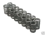 Brian Crower Single Valve Springs For Nissan Sentra Altima QR25 New. Price: $96.00.