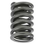 Genuine Ford Valve Springs E4TZ-6513-C New. Price: $48.86.