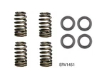 Enginetech Chrome Silicone Vanadium Intake And Exhaust Valve Spring Pack Of 4 New. Price: $55.99.