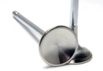 Gsc Power Division 2284-8 Intake Valve Set For 2015+ Subaru Impreza Wrx, 35MM New. Price: $196.99.