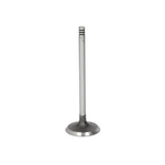 Fits Ae V94608 Intake Valve Oe Replacement New. Price: $26.76.