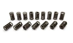 Manley Performance Products 1.550 Dual Valve Springs 22431-16 New. Price: $239.31.