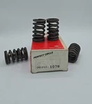 Perfect Circle VS521 Valve Spring 4PK 212-1078 New. Price: $9.74.