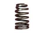 Ac Delco 68WW56X Valve Spring Fits 2002-2013 Chevy Corvette New. Price: $14.67.