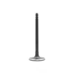 Engine Intake Valve-ohv, Valves Dnj IV3125B New. Price: $18.38.