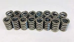 Melling Valve Springs SET/16 Some 1968-1976 Ford Mercury Fe 360 390 New. Price: $84.86.