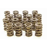 Isky Cams 1.560 Valve Springs - 9985RAD New. Price: $641.62.