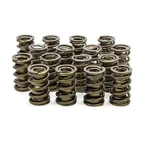 Isky Cams 1.560 Valve Springs - 9915 New. Price: $558.96.