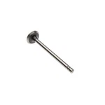 Reliance Power Products S106096A Intake Valve New. Price: $32.64.