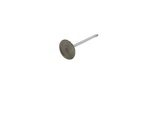 Genuine Mopar Intake Valve Right Cylinder Head 53022087AD New. Price: $28.00.