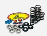 Polaris Outlaw Predator 500 Kibblewhite Race Titanium Valve Springs Kit Seals New. Price: $163.08.