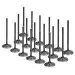 Supertech AIVN-1103-18 Black Nitrided Intake Valve Set For Audi/vw 1.8T New. Price: $473.79.