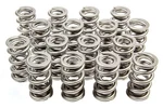 1536 Dual Valve Springs (16) New. Price: $670.32.