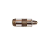 Dnj LIF4173A Engine Valve Lifter Select 04-05 Ford Lincoln Models New. Price: $16.99.