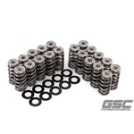 Gsc Power 5096 Beehive Valve Spring With Ti Retainer For Audi RS3 Daza New. Price: $566.09.