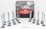 2010-2021 Ford Truck Suv 3.5L Dohc V6 24V 12 Intake And Stellite Exh Valves New. Price: $250.00.