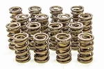 1.600 Valve Springs Isky Cams 9999RAD New. Price: $651.98.
