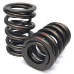 Renegade Valve Spring Set 99893-16; Dual, 120 Lbs At 1.875 In., 1.460 Od New. Price: $78.17.