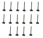 Set Of 16 Intake Valve Eurospare AJ810945 For Jaguar New. Price: $238.00.
