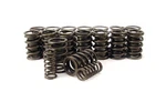 Comp Cams Valve Springs Dual 1.510" Od 395 Lbs./in Rate 1.100" Coil Bind H New. Price: $164.95.