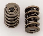 Manley Nextek Valve Springs 221448-16 New. Price: $647.48.
