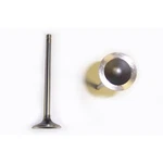 Dnj EV328 Engine Exhaust Valve New. Price: $14.99.