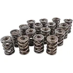 Manley 221448-16 Nextek Drag Race Valve Springs New. Price: $647.48.