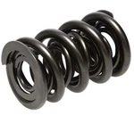 Racing 1200 Series Valve Spring PAC-1248-16 New. Price: $465.30.