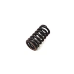 Genuine Volkswagen Valve Springs 06K-109-623-B New. Price: $28.55.