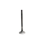 Dnj IV4299 Intake Valve Fits 2011-2017 Ford F-150 11-17 Mustang New. Price: $32.99.