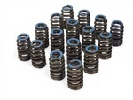 2015-2025 6.2 LT1 LT4 Valve Springs Oem Gm 12678635 12691120 Set Of 16 Used. Price: $40.00.