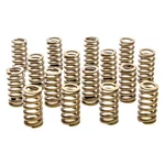 Racing PAC-1214-16 1.061 Valve Springs Ovate Beehive (16) New. Price: $225.60.