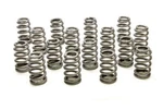 Racing Springs 1.589 Valve Ovate Beehive PAC-1295X-16 New. Price: $403.81.