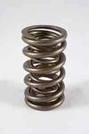 Pac Racing Springs 1300 Series Dual Valve Od: 1.374 New. Price: $378.00.