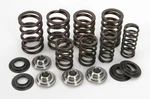 Kibblewhite Precision Valve Spring Kit 30-30161 Oem Replacement 53-1436 960007 New. Price: $128.03.
