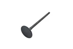 Beck Arnley 021-3181 Intake Valve Nos New. Price: $9.99.