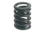 Federal Mogul Valve Spring New. Price: $18.02.