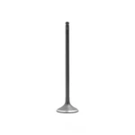 Engine Intake Valve-sohc, Code: D17A1, 16 Valves Dnj IV295 New. Price: $29.82.