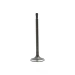 Engine Intake Valve-sohc, 8 Valves Dnj IV201 New. Price: $16.49.