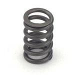 Crower 68190-24 Valve Springs Single 1.090 Set Of New. Price: $175.93.