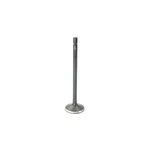 Dnj EV348A Exhaust Valve Fits 2015-2022 Chevrolet Colorado 15-22 Gmc Canyon New. Price: $33.99.