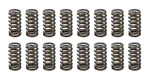 Racing Springs 1.025 Valve Ovate Beehive PAC-1233-16 New. Price: $241.38.
