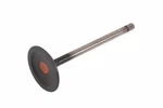 Genuine Gm Intake Valve 12662527 New. Price: $19.94.
