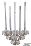 Gsc P-d Fits Toyota G16E-GTS 32MM Head (std) Chrome Polished Exhaust Valve Set New. Price: $241.99.