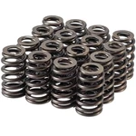 Melling VS-2254-16 Stock Replacement Valve Spring Kit Avanti, Buick, Cadillac, New. Price: $86.03.