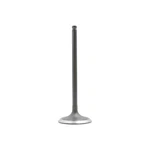 Dnj IV534 Intake Valve Fits 2009-2013 Suzuki Grand Vitara 10-13 Kizashi New. Price: $32.99.